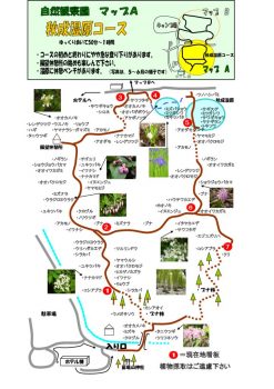 kansatsuen_aのサムネイル
