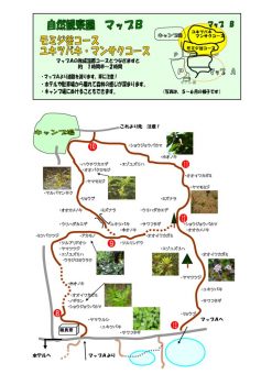 kansatsuen_bのサムネイル